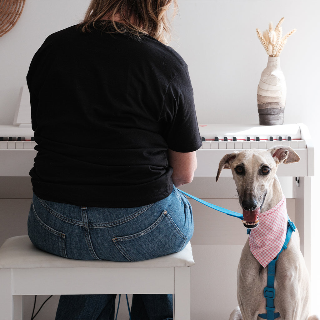 Pink checkered bandana -Medium