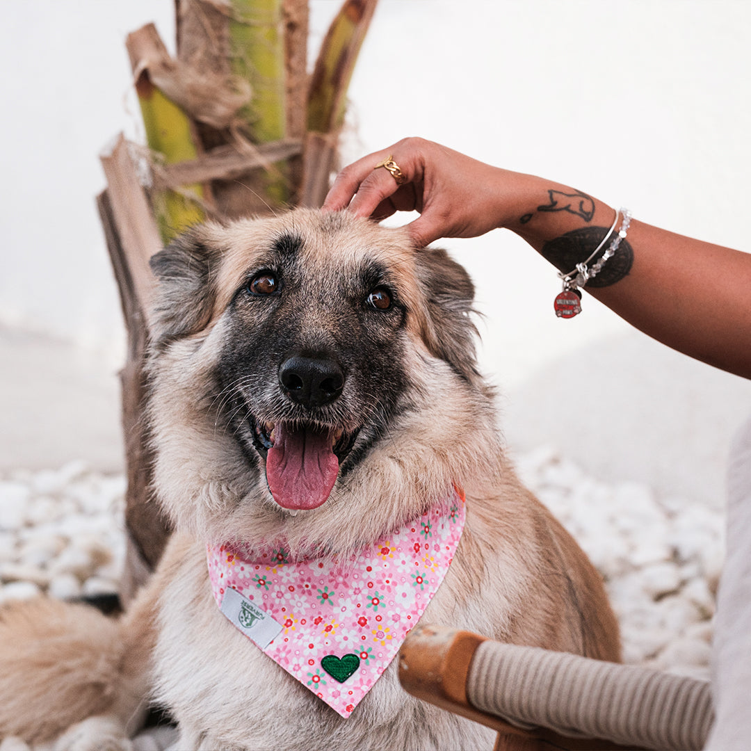 I heart you Bandana -Large