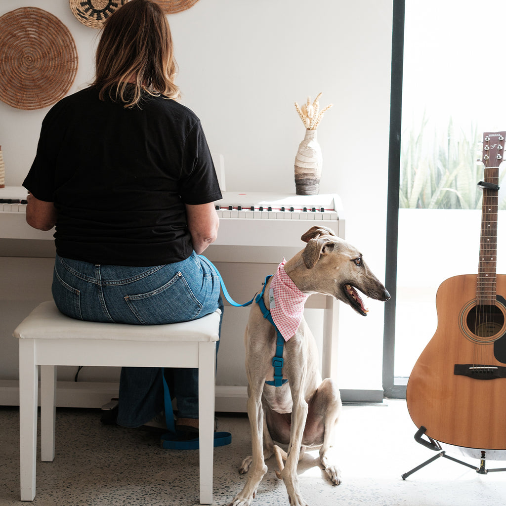 Pink checkered bandana -Medium