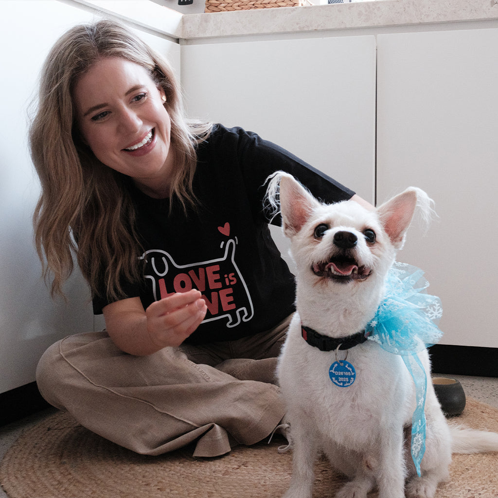 Blue bowtie S -Love is love