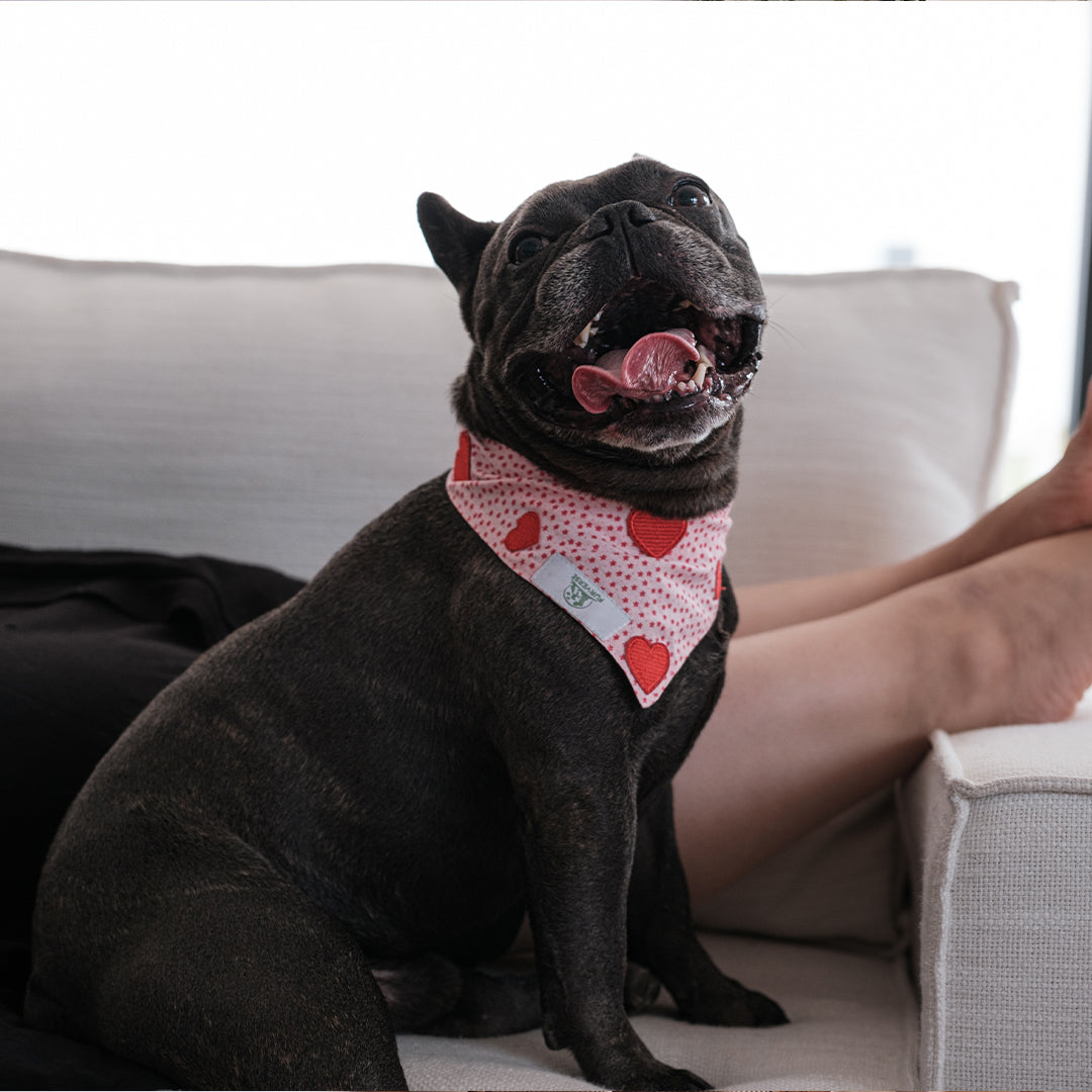I heart you Bandana -small
