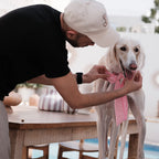 Pink stripe bowtie M -Love is Love