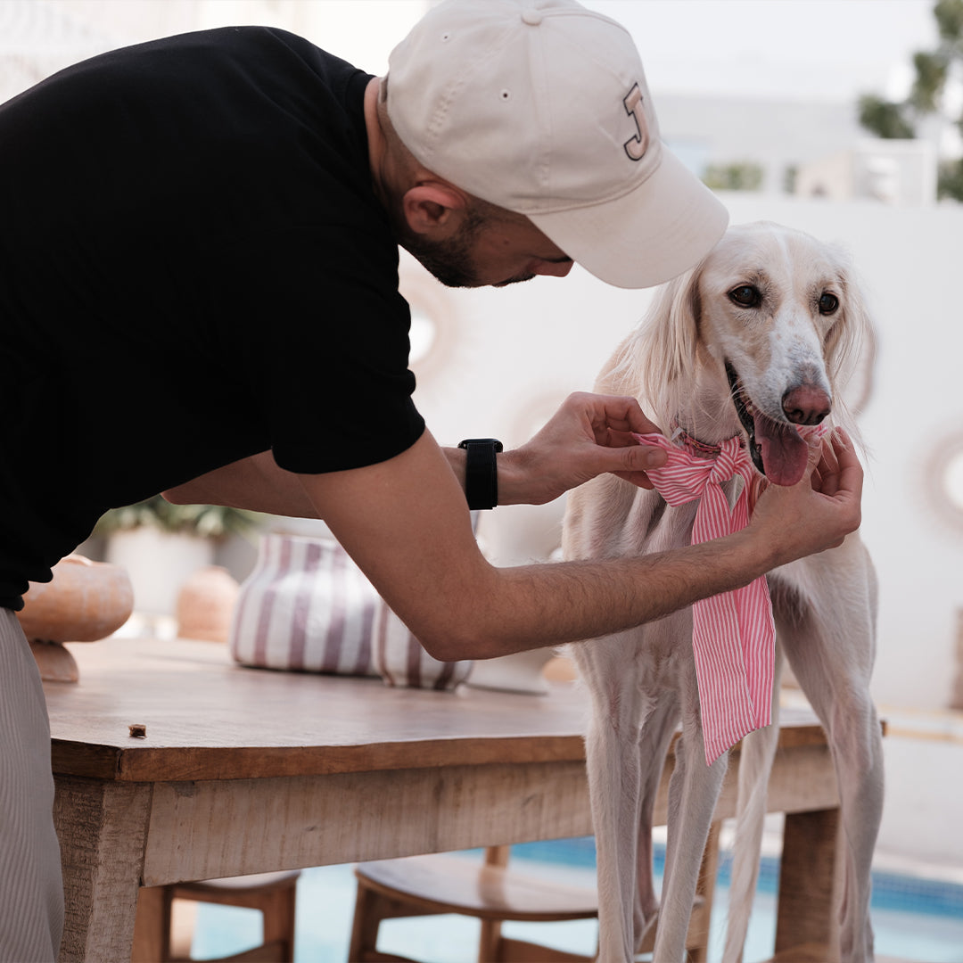 Pink stripe bowtie M -Love is Love