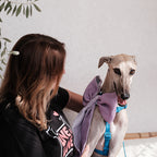 Purple bowtie big -Love is love