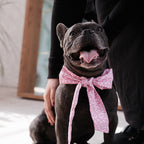 Pink Floral bowtie M -Love is Love