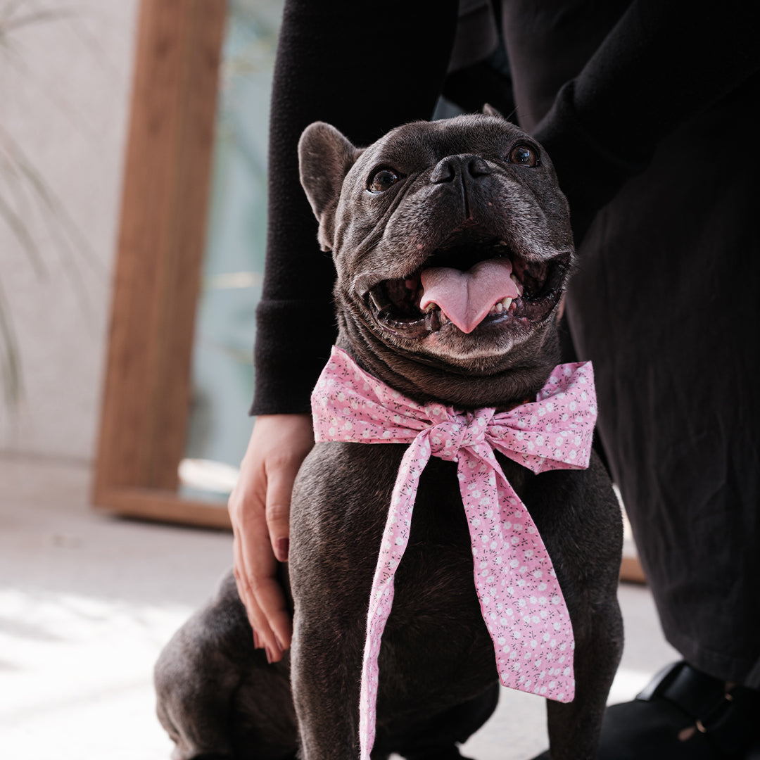 Pink Floral bowtie M -Love is Love