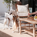 Golden bowtie big -Love is Love