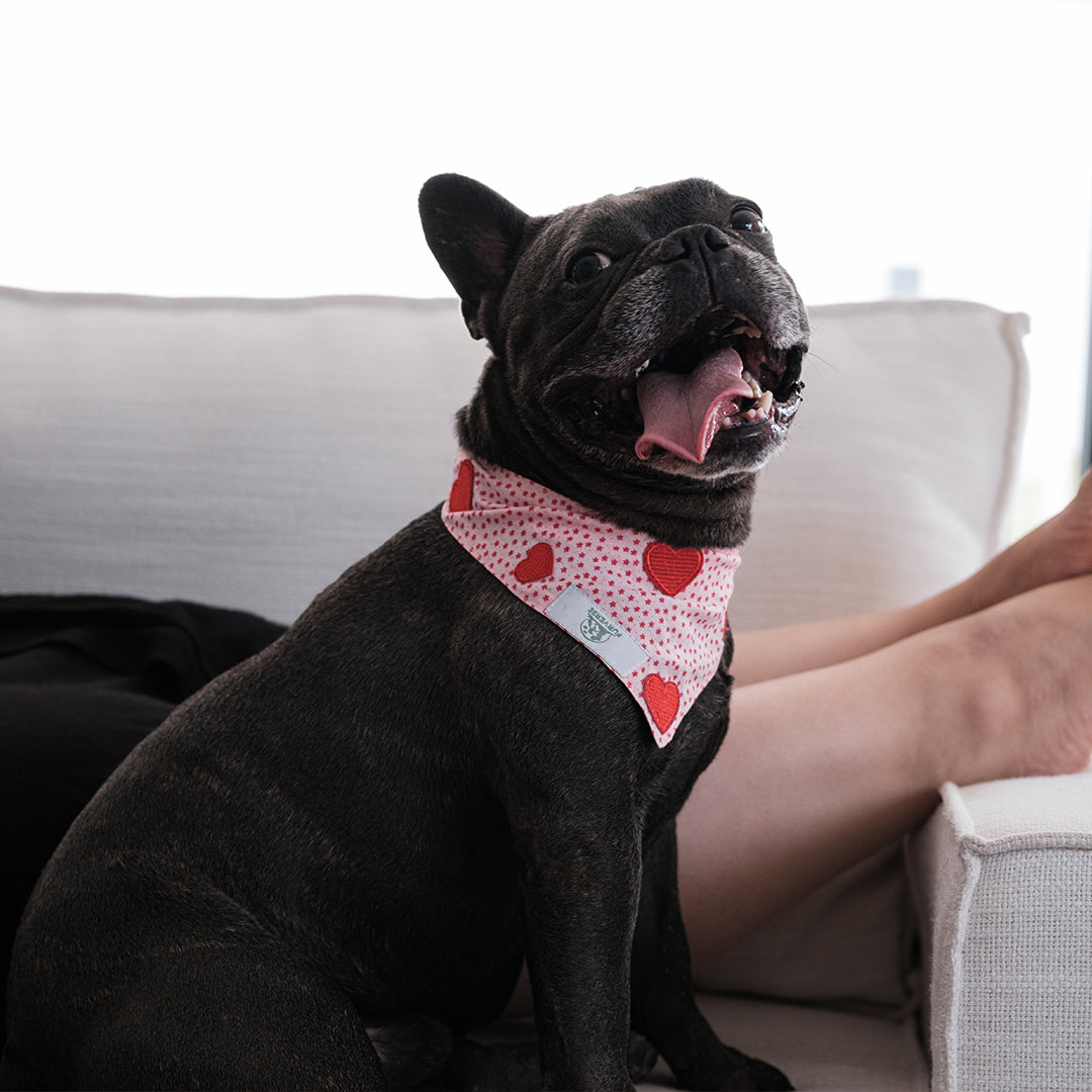 I heart you Bandana -Large