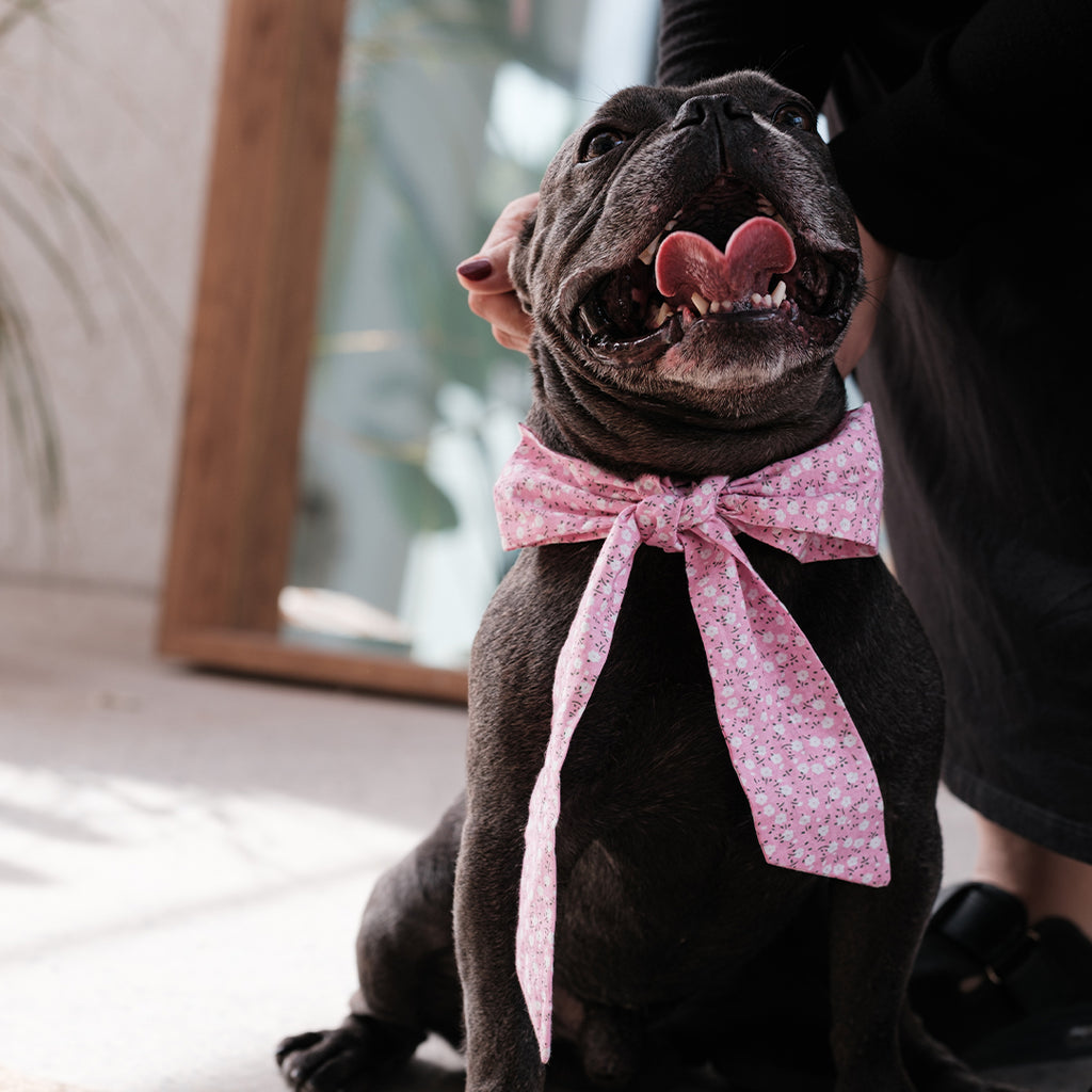 Pink Floral bowtie M -Love is Love