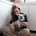 Blue bowtie S -Love is love