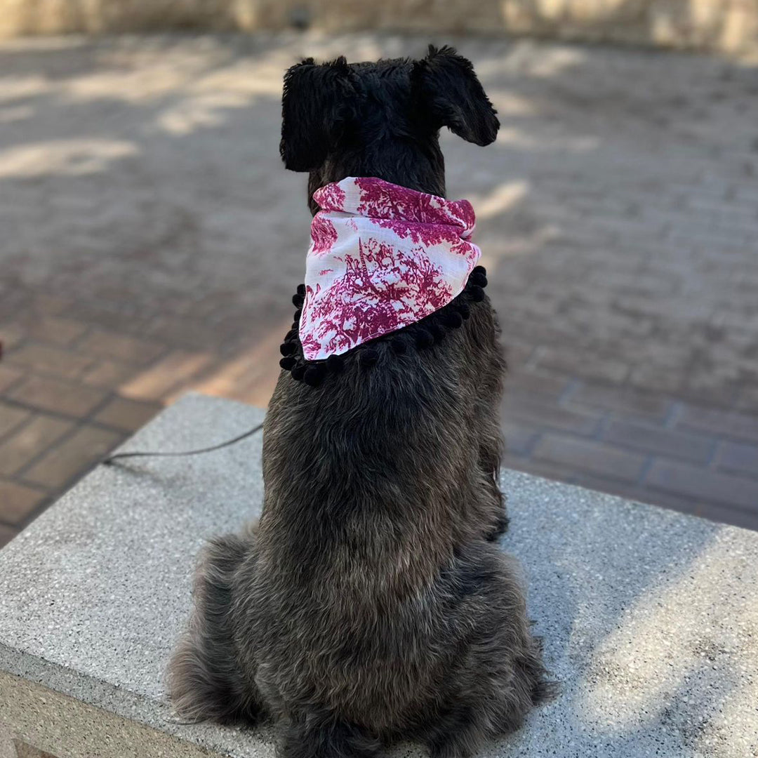 DINO Bandana